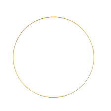 Metallic Wedding Hoop